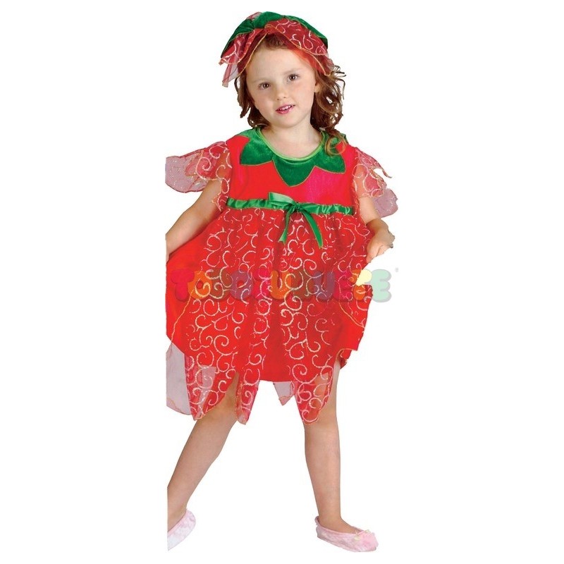 insondable Mecánicamente Alianza Comprar Disfraz rose fairy infantil 2-4 años Disfraz infantil online