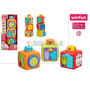 Cubos Actividades Winfun