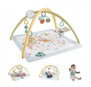 Gimnasio Animales Sensimals Fisher