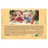 Sylvanian Family Hermanos Biscuit