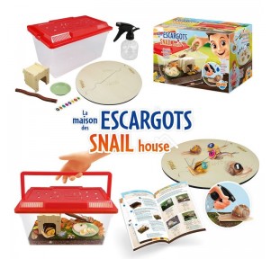 Casa de Caracoles  Buki