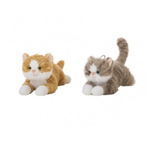 Peluche Gato Amer 50cm Surtido