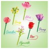 Bloom Building Pens Construye tu FloryBoli