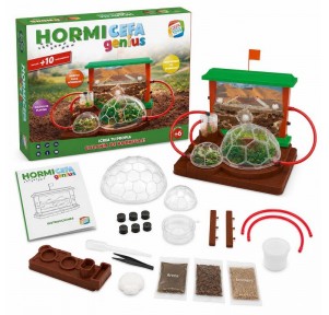 Juego Hormicefa Genius