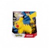 Pokemon Battle Action Pikachu Electro