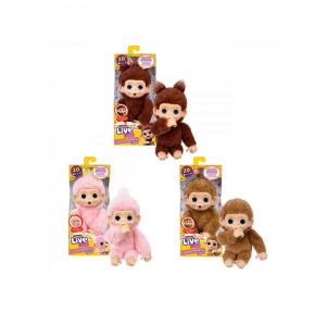 Little Live Pets My Baby Monkey Mini Surtido